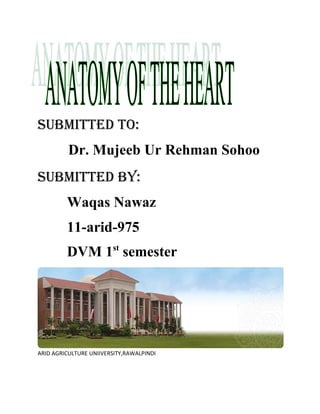 SUBMITTED TO:
          Dr. Mujeeb Ur Rehman Sohoo
SUBMITTED BY:
         Waqas Nawaz
         11-arid-975
         DVM 1st semester




ARID AGRICULTURE UNIIVERSITY,RAWALPINDI
 