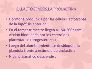 GALACTOGENESIS:LA PROLACTINA
• Hormona producida por las células lactotropas
de la hipófisis anterior .
• En el tercer trimestre llegan a 150-200ng/ml
Acción bloqueada por los esteroides
placentarios (progesterona )
• Luego del alumbramiento se desbloquea la
glándula frente a estimulo de prolactina
• Nivel plasmático desciende .
 