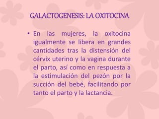 GALACTOGENESIS: LA OXITOCINA
• En las mujeres, la oxitocina
igualmente se libera en grandes
cantidades tras la distensión del
cérvix uterino y la vagina durante
el parto, así como en respuesta a
la estimulación del pezón por la
succión del bebé, facilitando por
tanto el parto y la lactancia.
 