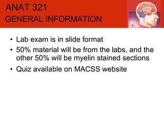 ANAT-321: review lab 1 & 2 | PPT