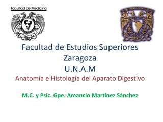 Facultad de Estudios Superiores
Zaragoza
U.N.A.M

Anatomía e Histología del Aparato Digestivo
M.C. y Psic. Gpe. Amancio Martínez Sánchez

 