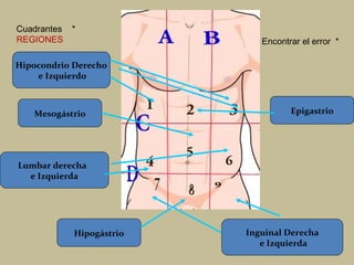 Cuadrantes *
REGIONES

Encontrar el error *

Hipocondrio Derecho
e Izquierdo

Mesogástrio

Epigastrio

Lumbar derecha
e Izquierda

Hipogástrio

Inguinal Derecha
e Izquierda

 