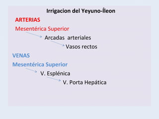 Irrigacion del Yeyuno-Íleon
ARTERIAS
Mesentérica Superior
Arcadas arteriales
Vasos rectos
VENAS
Mesentérica Superior
V. Esplénica
V. Porta Hepática

 