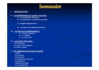 Sommaire
I - INTRODUCTION :

II - LES MEMBRANES DU GLOBE OCULAIRE :
         A - La membrane fibreuse :
         B - La membrane vasculaire ou uvée :

        C –l’angle iridocorneen :

        D- La rétine ou tunique nerveuse :

III - LES MILIEUX TRANSPARENTS :
           A - L'humeur aqueuse.
           B - Le cristallin.
           C - Le corps vitré.

IV – LES VOIES OPTIQUES :
    Le nerf optique.
    Les autres voies optiques.
    La chaine visuelle.

V - LES ANNEXES DU GLOBE OCULAIRE :
      L'orbite.
      Les muscles.
      L’innervation.
      Les aponévroses de l'œil.
      Les paupières.
      L'appareil lacrymal.
      La vascularisation.
 