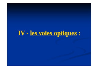 IV - les voies optiques :
 