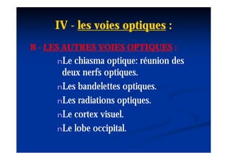 IV - les voies optiques :
B - LES AUTRES VOIES OPTIQUES :
     nLe chiasma optique: réunion des
      deux nerfs optiques.
     nLes bandelettes optiques.

     nLes radiations optiques.

     nLe cortex visuel.

     nLe lobe occipital.
 