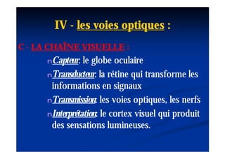 IV - les voies optiques :
C - LA CHAÎNE VISUELLE :
      nCapteur:
       Capteur:  le globe oculaire
      nTransducteur: la rétine qui transforme les
       Transducteur:
       informations en signaux
      nTransmission: les voies optiques, les nerfs
       Transmission:
      nInterprétation: le cortex visuel qui produit
       Interprétation:
       des sensations lumineuses.
 