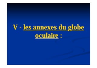 V - les annexes du globe
         oculaire :
 