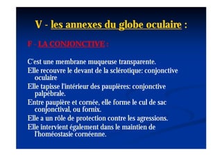 V - les annexes du globe oculaire :
F - LA CONJONCTIVE :

C'est une membrane muqueuse transparente.
Elle recouvre le devant de la sclérotique: conjonctive
  oculaire
Elle tapisse l'intérieur des paupières: conjonctive
  palpébrale.
Entre paupière et cornée, elle forme le cul de sac
  conjonctival, ou fornix.
                      fornix.
Elle a un rôle de protection contre les agressions.
Elle intervient également dans le maintien de
  l'homéostasie cornéenne.
 
