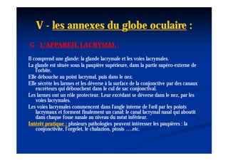 V - les annexes du globe oculaire :
G - L'APPAREIL LACRYMAL :

Il comprend une glande: la glande lacrymale et les voies lacrymales.
La glande est située sous la paupière supérieure, dans la partie supéro-externe de
                                                                  supéro-
    l'orbite.
Elle débouche au point lacrymal, puis dans le nez.
Elle sécrète les larmes et les déverse à la surface de la conjonctive par des canaux
    excréteurs qui débouchent dans le cul de sac conjonctival.
Les larmes ont un rôle protecteur. Leur excédant se déverse dans le nez, par les
    voies lacrymales.
Les voies lacrymales commencent dans l'angle interne de l'œil par les points
    lacrymaux et forment finalement un canal: le canal lacrymal nasal qui aboutit
    dans chaque fosse nasale au niveau du méat inférieur.
Intérêt pratique : plusieurs pathologies peuvent intéresser les paupières : la
    conjonctivite, l’orgelet, le chalazion, ptosis ….etc.
 