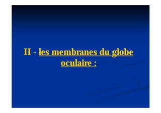 II - les membranes du globe
          oculaire :
 