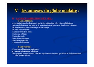V - les annexes du globe oculaire :
H - LA VASCULARISATION DE L'ŒIL :
          1) LES ARTÈRES :
La vascularisation de l'oeil est assurée par l'artère ophtalmique et les veines ophtalmiques.
                        l'oeil
L'artère ophtalmique est une branche de la carotide interne qui se situe dans la boite crânienne.
Elle pénètre dans la cavité orbitaire par le trou optique.
Elle émet des collatérales:
. L'artère centrale de la rétine.
. L'artère sus-orbitaire.
           sus-orbitaire.
. L'artère lacrymale.
. Les artères ethmoïdales.
. Les artères palpébrales.
. L'artère frontale interne.

          2) LES VEINES :
a) La veine ophtalmique supérieure.
b) La veine ophtalmique inférieure.
Elles rejoignent un sinus veineux collecteur, appelé sinus caverneux, qui débouche finalement dans la
    veine jugulaire interne.
 