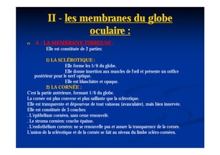 II - les membranes du globe
                     oculaire :
n   A - LA MEMBRANE FIBREUSE :
          Elle est constituée de 2 parties:

            1) LA SCLÉROTIQUE :
                       Elle forme les 5/6 du globe.
                       Elle donne insertion aux muscles de l'œil et présente un orifice
     postérieur pour le nerf optique.
                       Elle est blanchâtre et opaque.
            2) LA CORNÉE :
C'est la partie antérieure, formant 1/6 du globe.
La cornée est plus convexe et plus saillante que la sclérotique.
Elle est transparente et dépourvue de tout vaisseau (avasculaire), mais bien innervée.
                                                       (avasculaire),
Elle est constituée de 3 couches:
. L’épithélium cornéen, sans cesse renouvelé.
. Le stroma cornéen: couche épaisse.
. L'endothélium cornéen: ne se renouvelle pas et assure la transparence de la cornée.
L'union de la sclérotique et de la cornée se fait au niveau du limbe scléro-cornéen.
                                                                      scléro-
 