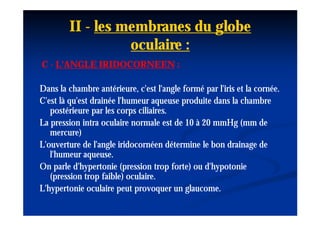 II - les membranes du globe
                  oculaire :
C - L'ANGLE IRIDOCORNEEN :

Dans la chambre antérieure, c'est l'angle formé par l'iris et la cornée.
C'est là qu'est drainée l'humeur aqueuse produite dans la chambre
   postérieure par les corps ciliaires.
La pression intra oculaire normale est de 10 à 20 mmHg (mm de
   mercure)
L'ouverture de l'angle iridocornéen détermine le bon drainage de
   l'humeur aqueuse.
On parle d'hypertonie (pression trop forte) ou d'hypotonie
   (pression trop faible) oculaire.
L'hypertonie oculaire peut provoquer un glaucome.
 