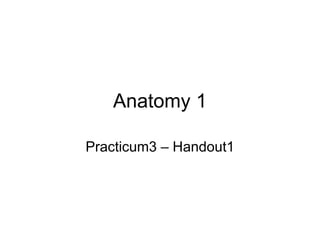 Anatomy 1 
Practicum3 –Handout1  