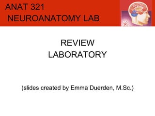 ANAT 321 REVIEW LABORATORY (slides created by Emma Duerden, M.Sc.) NEUROANATOMY LAB 