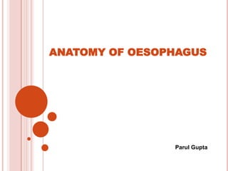 ANATOMY OF OESOPHAGUS




                Parul Gupta
 