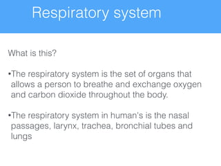 Respiratory system
What is this?
!
•The respiratory system is the set of organs that
allows a person to breathe and exchange oxygen
and carbon dioxide throughout the body.
!
•The respiratory system in human's is the nasal
passages, larynx, trachea, bronchial tubes and
lungs
 