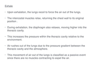 Breathing | PDF
