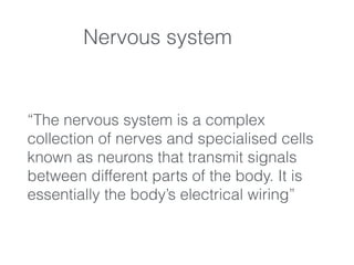 “The nervous system is a complex
collection of nerves and specialised cells
known as neurons that transmit signals
between different parts of the body. It is
essentially the body’s electrical wiring”
Nervous system
 
