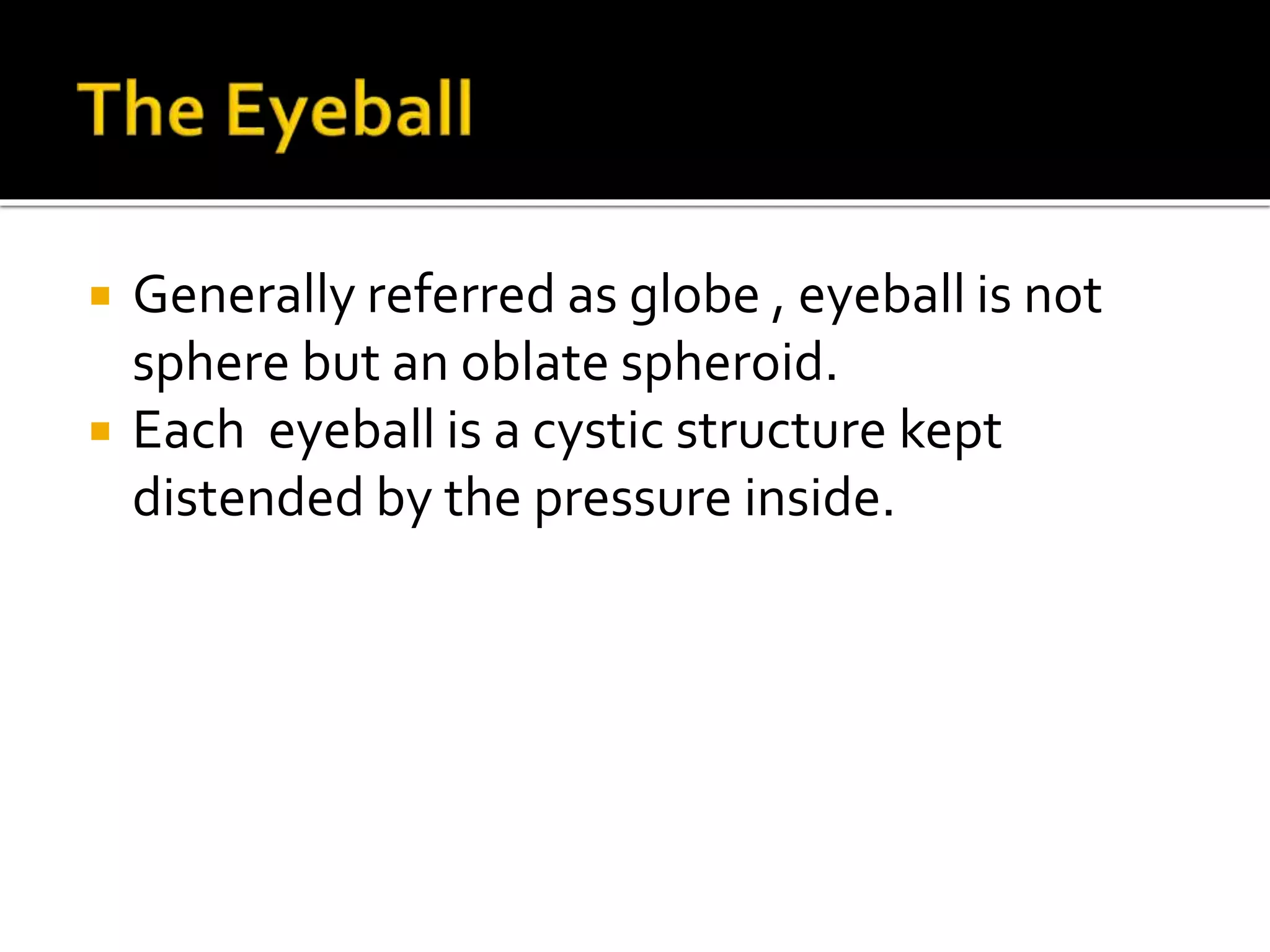 Anatomy and Development of eye.pptx | Eye and Vision Conditions ...