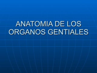 ANATOMIA DE LOS ORGANOS GENTIALES  