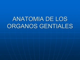 ANATOMIA DE LOS 
ORGANOS GENTIALES 
 