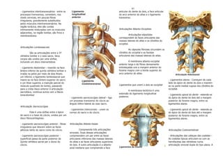 61
- Ligamentos intertransversários - entre os     Ligamento                                  articular do dente do áxis, a face articular
processos transversos, consistem, nos           longitudinal                               do arco anterior do atlas e o ligamento
níveis cervicais, em poucas fibras              anterior                                   transverso.
irregulares, grandemente substituídos
pelos músculos intertransversários. Na
região torácica, eles são cordas
intimamente misturadas com os músculos                                                     Articulações Atlanto-Occipitais
adjacentes, na região lombar, são finos e
membranáceos.                                                                                        Articulações elipsóides
                                                                                           correspondem às faces articulares das
                                                                                           massas laterais do atlas e os côndilos do
                                                                                           occipital.
Articulações Lombossacrais
                                                                                                    As cápsulas fibrosas circundam os
         São as articulações entre a 5ª                                                    côndilos do occipital e as facetas
vértebra lombar e o osso sacro. Seus                                                       articulares das massas laterais do atlas.
corpos são unidos por uma sínfise,
incluindo um disco intervertebral.                                                                  A membrana atlanto-occipital
                                                                                           anterior larga e de fibras densamente
- Ligamento ileolombar – inserido na face                                                  entrelaçadas une a margem anterior do
ântero-inferior da quinta vértebra lombar e                                                forame magno com a borda superior do
irradia na pelve por meio de dois feixes:                                                  arco anterior do atlas.                              Articulação Atlantoaxial
um inferior, o ligamento lombossacral que
insere-se na face ântero-superior do sacro               Ligamento                                                                        - Ligamentos alares - Começam de cada
e um feixe superior, a inserção parcial do               Costotransverso                                                                  lado do ápice do dente do áxis e inserem-
músculo quadrado do lombo, passando                                                        Ligamentos que unem o áxis ao occipital        se na parte medial rugosa dos côndilos do
para a crista ilíaca anterior à articulação                                                                                               occipital.
                                                                                                    A membrana tectórica é uma
sacroilíaca, continua acima com a fáscia
                                                                                           extensão do ligamento longitudinal             - Ligamento apical do dente - estende-se
toracolombar.
                                              - Ligamento sacrococcígeo lateral – liga     posterior.                                     do ápice do dente do áxis até a margem
                                              um processo transverso do cóccix ao                                                         posterior do forame magno, entre os
                                              ângulo ínfero-lateral do osso sacro.                                                        ligamentos alares.
Articulação Sacrococcígea
                                              - Ligamentos intercornais – unem os                                                         - Ligamento apical do dente - estende-se
          Esta é uma sínfise entre o ápice    cornos do sacro e do cóccix.                                                                do ápice do dente do áxis até a margem
do sacro e a base do cóccix, unidos por um                                                              Membrana Tectória                 posterior do forame magno, entre os
disco fibrocartilagíneo.                                                                                                                  ligamentos alares.

- Ligamento sacrococcígeo anterior - fibras   Articulações Atlanto-Axiais
irregulares que descem sobre as faces
pélvicas tanto do sacro como do cóccix.                Compreende três articulações                                                       Articulações Costovertebrais
                                              sinoviais. Duas dessas articulações
- Ligamento sacrococcígeo posterior -         compreendem um par entre as faces                                                           - Articulações das cabeças das costelas –
superficial passa da parte posterior da       articulares inferiores das massas laterais                                                  As costelas típicas articulam-se com as
Quinta vértebra sacral par o dorso do         do atlas e as faces articulares superiores                                                  hemifacetas das vértebras numa
cóccix.                                       do áxis. A outra articulação é a atlanto-                                                   articulação sinovial dupla do tipo plana. A
                                              axial mediana que compreende a face          Ligamentos da Coluna
 