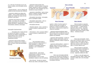 62
1ª, a 10ª até 12ª articulam-se com uma          - Ligamentos esternocostais intra-
faceta completa numa articulação sinovial       articulares - constante apenas na Segunda
simples.                                        costela. Estende-se a partir da cartilagem
                                                da costela até a fibro cartilagem que une o
- Cápsulas fibrosas - unem as cabeças das       manúbrio ao corpo do esterno.
costelas às faces articulares das vértebras.
                                                - Ligamentos costoxifóides - ligam as faces
- Ligamentos radiados das cabeças das           anterior e posterior da sétima costela às
costelas - unem as partes anteriores das        mesmas no processo xifóide.
cabeças das costelas aos corpos de duas
vértebras e seus discos.                        - Articulações intercondrais - articulações
                                                entre as cartilagens costais.
- Ligamento intra-articular da cabeça da
costela - é um feixe curto, achatado,           - Articulações costocondrais - entre as
inserido lateralmente na crista entre as        costelas e as cartilagens costais.
facetas articulares e, medialmente no disco
                                                - Articulações esternais:                      superior e inferior. Sua face superior é                Pode-se localizar as seguintes
intervertebral, dividindo a articulação.
                                                                                               côncavo-convexa para se ajustar ao            estruturas pertencentes à articulação do
                                                = Manúbrio-esternal - entre o manúbrio e       tubérculo e a fossa da mandíbula e sua        ombro nas figura: - a cápsula fibrosa; -
                                                o corpo do esterno, é geralmente uma           face inferior é côncava para se ajustar ao    ligamento córaco-umeral; - ligamento
Articulações Costotransversas                   sínfise.                                       côndilo da mandíbula.                         transverso do úmero; - lábio glenoidal; -
                                                                                                                                             ligamentos glenoumerais superior, médio,
         Articulação entre a faceta articular   = Xifo-esternal - entre o processo xifóide e   - Ligamento temporomandibular lateral -       inferior; - membrana sinovial
do tubérculo da costela e o processo            o corpo do esterno, é geralmente uma           está inserido acima no tubérculo da raiz do
transverso da vértebra correspondente. A        sínfise.                                       zigoma e abaixo na face lateral e margem
cápsula fibrosa é fina e inserida nos                                                          posterior da mandíbula.
perímetros articulares com um                                                                                                                Cotovelo
revestimento sinovial.                                                                         - Ligamento esfenomandibular - localiza-se
                                                ATM                                            medial à cápsula, está inserido acima na               Possui duas articulações: úmero-
- Ligamentos esternocostais radiados -                                                         espinha do esfenóide e abaixo na lígula da    ulnar, entre a tróclea do úmero e a incisura
feixes finos e radiados que se irradiam a                Essa articulação envolve o            mandíbula.                                    troclear da ulna, úmero radial, entre o
partir da frente e atrás das extremidades       tubérculo articular do osso temporal, a                                                      capítulo do úmero e a cabeça do rádio e
esternais.                                      fossa mandibular e o côndilo da                - Ligamento estilomandibular - posterior à    rádio-ulnar proximal, entre a cabeça do
                                                mandíbula. A articulação individual é          cápsula, insere-se acima no processo          rádio e a incisura radial da ulna.
                                                elipsóide e o par é considerado é              estilóide e abaixo na margem posterior do
                                                bicondilar.                                    ângulo da mandíbula.                                   Pode-se localizar as seguintes
                                                                                                                                             estruturas pertencentes à articulação do
                                                                                                                                             ombro na figura: - cápsula articular; -
                                                                                                                                             membrana sinovial; - ligamento colateral
                                                - Cápsula Articular - está inserida            Ombro                                         da ulna; - ligamento colateral do rádio
                                                anteriormente no tubérculo articular,
                                                posteriormente na fissura                               Esta é uma articulação esferóide               O rádio e a ulna são ligados por
                                                escamotimpânica, acima na fossa                multiaxial com três graus de liberdade. As    articulações proximal, média, e distal, onde
                                                mandibular e abaixo no colo da mandíbula.      faces articulares são a cabeça hemisférica    somente a média não é uma articulação
   Articulação Costovertebral
                                                                                               do úmero (convexa) e a cavidade glenóide      sinovial.
                                                - Disco Articular - formado de material        da escápula (côncava).
                                                fibroso oval, divide a articulação em parte
 