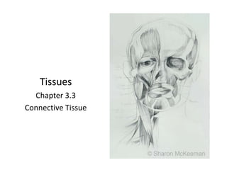 Tissues Chapter 3.3 Connective Tissue 