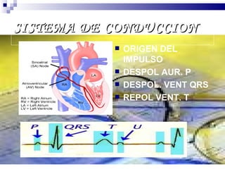 SISTEMA DE CONDUCCION ORIGEN DEL IMPULSO DESPOL AUR. P DESPOL. VENT QRS REPOL VENT. T   