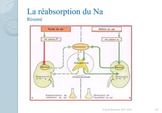La réabsorption du Na
Résumé
101Franck Rencurel, BTS 2020
 