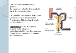 Franck Rencurel, BTS 2020 105
Le K+ est librement filtré dans le
glomérule.
La plupart est réabsorbé donc une faible
qté de K+ est dans les urines.
Les variations de l’excrétion de K+ (dans
les urines) sont principalement dues
À la sécrétion (libération) de K+)par les
cellules tubulaires
Hypokaliémie => pas de sécrétion
Seules la partie filtrée non
réabsorbée(pointillée) part dans les urines
Des variations existent selon les apports
K+ alimentaires
 
