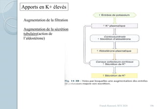 Franck Rencurel, BTS 2020 106
Apports en K+ élevés
Augmentation de la filtration
Augmentation de la sécrétion
tubulaire(action de
l’aldostérone)
 