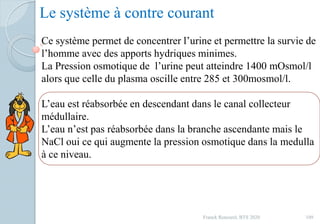 Le système à contre courant
Ce système permet de concentrer l’urine et permettre la survie de
l’homme avec des apports hydriques minimes.
La Pression osmotique de l’urine peut atteindre 1400 mOsmol/l
alors que celle du plasma oscille entre 285 et 300mosmol/l.
L’eau est réabsorbée en descendant dans le canal collecteur
médullaire.
L’eau n’est pas réabsorbée dans la branche ascendante mais le
NaCl oui ce qui augmente la pression osmotique dans la medulla
à ce niveau.
109Franck Rencurel, BTS 2020
 