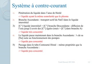 Système à contre-courant
1) Pénétration du liquide dans l’anse de Henlé
-> liquide ayant la même osmolarité que le plasma
2) Branche Ascendante : transport actif du NaCl dans le liquide
interstitiel
3) [C°] liquide interstitiel > [C°] branche Descendante : diffusion de
l’eau jusqu’à avoir des [C°] égales (mais > [C°] dans branche A)
-> liquide très concentré
4) Le liquide passe maintenant dans la branche Ascendante : ↘ de sa
[Na] suite au fonctionnement des pompes
-> liquide peu concentré
5) Passage dans le tube Contourné Distal : même propriétés que la
branche Ascendante :
-> liquide peu concentré
112Franck Rencurel, BTS 2020
 