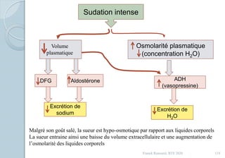 Franck Rencurel, BTS 2020 118
Sudation intense
Volume
plasmatique
DFG Aldostérone
Excrétion de
sodium
Osmolarité plasmatique
(concentration H2O)
ADH
(vasopressine)
Excrétion de
H2O
Malgré son goût salé, la sueur est hypo-osmotique par rapport aux liquides corporels
La sueur entraine ainsi une baisse du volume extracellulaire et une augmentation de
l’osmolarité des liquides corporels
 
