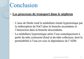 Conclusion
 Les processus de transport dans le néphron
◦ L’anse de Henle rend la médullaire rénale hypertonique par
la réabsorption du NaCl dans la branche ascendante et
l’interaction dans la branche descendante.
◦ La médullaire hypertonique attire l’eau osmotiquement à
partir du tube contourné distal et du tube collecteur, dont la
perméabilité à l’eau est sous la dépendance de l’ADH.
123Franck Rencurel, BTS 2020
 