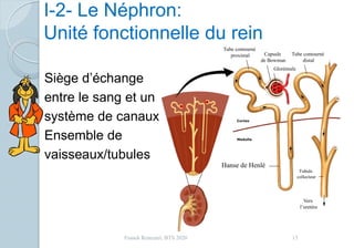 Siège d’échange
entre le sang et un
système de canaux
Ensemble de
vaisseaux/tubules
Hanse de Henlé
Tubule
collecteur
Vers
l’uretère
Capsule
de Bowman
Glorémule
Tube contourné
proximal Tube contourné
distal
15Franck Rencurel, BTS 2020
I-2- Le Néphron:
Unité fonctionnelle du rein
 
