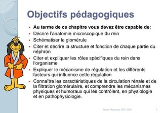 Objectifs pédagogiques
 Au terme de ce chapitre vous devez être capable de:
 Décrire l’anatomie microscopique du rein
 Schématiser le glomérule
 Citer et décrire la structure et fonction de chaque partie du
néphron
 Citer et expliquer les rôles spécifiques du rein dans
l’organisme
 Expliquer le mécanisme de régulation et les différents
facteurs qui influence cette régulation
 Connaître les caractéristiques de la circulation rénale et de
la filtration glomérulaire, et comprendre les mécanismes
physiques et humoraux qui les contrôlent, en physiologie
et en pathophysiologie.
2Franck Rencurel, BTS 2020
 