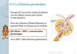 II-2 La Filtration glomérulaire
Passage de l’eau et des solutés du plasma
vers les tubules rénaux pour former
l’urine primitive.
Pour une substance filtrant librement, la
quantité filtrée est donnée par la relation:
Qté filtrée = DFG X concentration
plasmatique
Avec DFG= débit filtration glomérulaire
47Franck Rencurel, BTS 2020
 