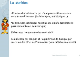 La sécrétion
•Elimine des substances qui n’ont pas été filtrée comme
certains médicaments (barbituriques, antibiotiques..)
•Elimine des substances nuisibles qui ont été réabsorbées
passivement (urée, acide urique)
Débarrasse l’organisme des excès de K+
Maintient le pH sanguin et l’équilibre acido-basique par
sécrétion des H+ et de l’ammoniac (voir métabolisme azoté)
66Franck Rencurel, BTS 2020
 