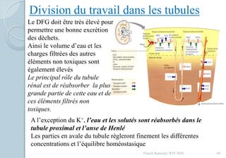Franck Rencurel, BTS 2020 69
Division du travail dans les tubules
Le DFG doit être très élevé pour
permettre une bonne excrétion
des déchets.
Ainsi le volume d’eau et les
charges filtrées des autres
éléments non toxiques sont
également élevés
Le principal rôle du tubule
rénal est de réabsorber la plus
grande partie de cette eau et de
ces éléments filtrés non
toxiques.
A l’exception du K+, l’eau et les solutés sont réabsorbés dans le
tubule proximal et l’anse de Henlé
Les parties en avale du tubule règleront finement les différentes
concentrations et l’équilibre homéostasique
 