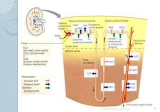 Franck Rencurel, BTS 2020 70
 