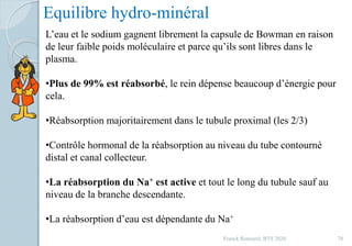 Franck Rencurel, BTS 2020 78
Equilibre hydro-minéral
L’eau et le sodium gagnent librement la capsule de Bowman en raison
de leur faible poids moléculaire et parce qu’ils sont libres dans le
plasma.
•Plus de 99% est réabsorbé, le rein dépense beaucoup d’énergie pour
cela.
•Réabsorption majoritairement dans le tubule proximal (les 2/3)
•Contrôle hormonal de la réabsorption au niveau du tube contourné
distal et canal collecteur.
•La réabsorption du Na+ est active et tout le long du tubule sauf au
niveau de la branche descendante.
•La réabsorption d’eau est dépendante du Na+
 