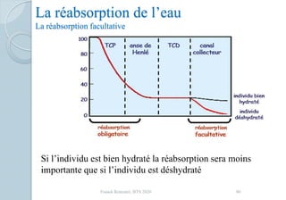 La réabsorption de l’eau
La réabsorption facultative
Si l’individu est bien hydraté la réabsorption sera moins
importante que si l’individu est déshydraté
80Franck Rencurel, BTS 2020
 
