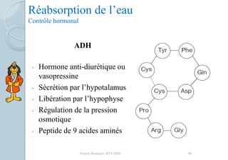 Réabsorption de l’eau
Contrôle hormonal
ADH
- Hormone anti-diurétique ou
vasopressine
- Sécrétion par l’hypotalamus
- Libération par l’hypophyse
- Régulation de la pression
osmotique
- Peptide de 9 acides aminés
86Franck Rencurel, BTS 2020
 