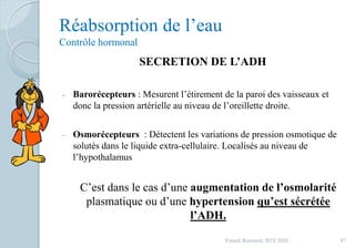 Réabsorption de l’eau
Contrôle hormonal
SECRETION DE L’ADH
- Barorécepteurs : Mesurent l’étirement de la paroi des vaisseaux et
donc la pression artérielle au niveau de l’oreillette droite.
- Osmorécepteurs : Détectent les variations de pression osmotique de
solutés dans le liquide extra-cellulaire. Localisés au niveau de
l’hypothalamus
C’est dans le cas d’une augmentation de l’osmolarité
plasmatique ou d’une hypertension qu’est sécrétée
l’ADH.
87Franck Rencurel, BTS 2020
 