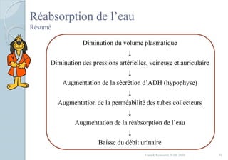 Réabsorption de l’eau
Résumé
Diminution du volume plasmatique
↓
Diminution des pressions artérielles, veineuse et auriculaire
↓
Augmentation de la sécrétion d’ADH (hypophyse)
↓
Augmentation de la perméabilité des tubes collecteurs
↓
Augmentation de la réabsorption de l’eau
↓
Baisse du débit urinaire
91Franck Rencurel, BTS 2020
 