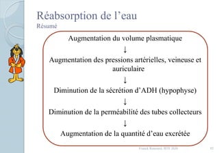 Réabsorption de l’eau
Résumé
Augmentation du volume plasmatique
↓
Augmentation des pressions artérielles, veineuse et
auriculaire
↓
Diminution de la sécrétion d’ADH (hypophyse)
↓
Diminution de la perméabilité des tubes collecteurs
↓
Augmentation de la quantité d’eau excrétée
92Franck Rencurel, BTS 2020
 